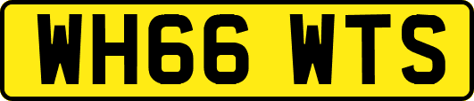 WH66WTS