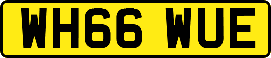WH66WUE