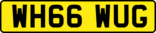 WH66WUG