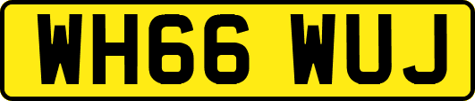 WH66WUJ