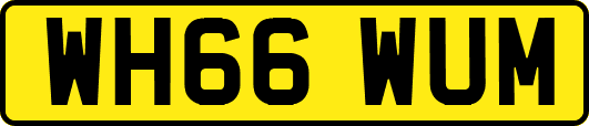WH66WUM