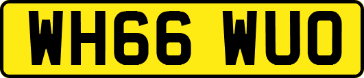 WH66WUO