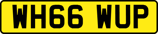 WH66WUP