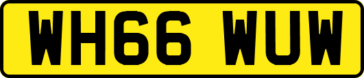 WH66WUW