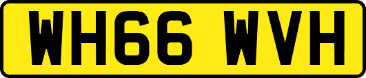 WH66WVH