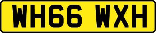 WH66WXH