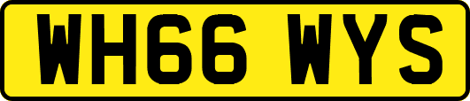 WH66WYS