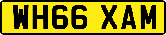 WH66XAM