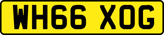 WH66XOG