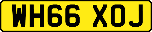WH66XOJ