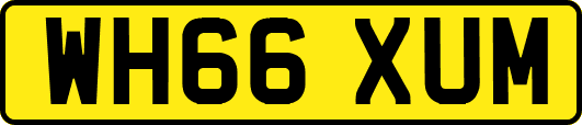 WH66XUM