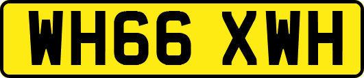 WH66XWH