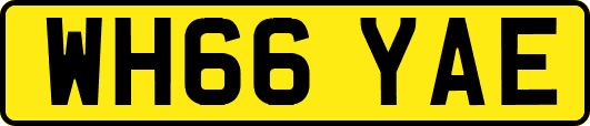 WH66YAE