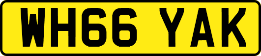 WH66YAK