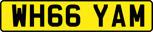 WH66YAM