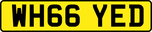 WH66YED