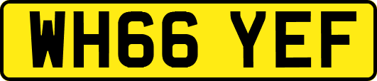 WH66YEF