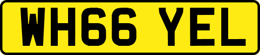 WH66YEL
