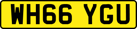 WH66YGU