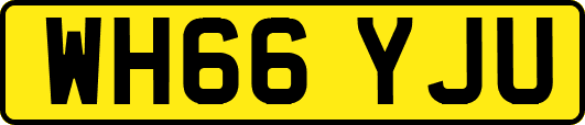 WH66YJU
