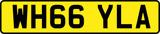 WH66YLA