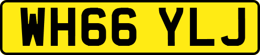 WH66YLJ