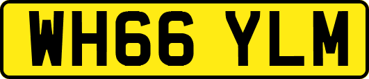 WH66YLM