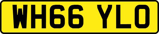 WH66YLO