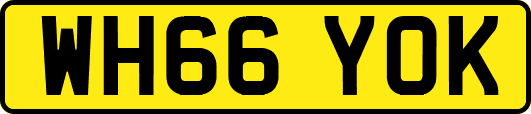 WH66YOK