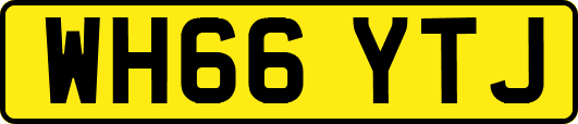 WH66YTJ