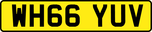 WH66YUV