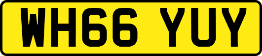 WH66YUY