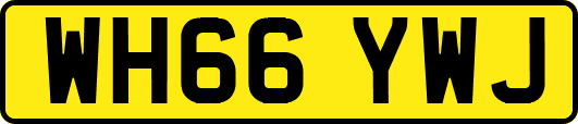WH66YWJ