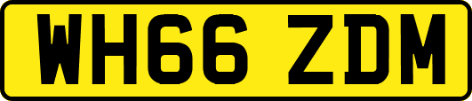 WH66ZDM