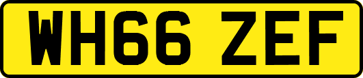 WH66ZEF