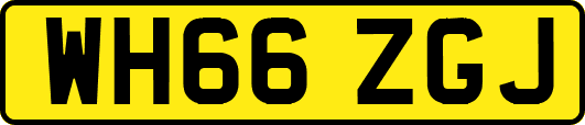 WH66ZGJ