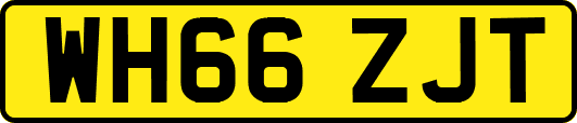 WH66ZJT