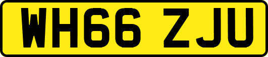 WH66ZJU