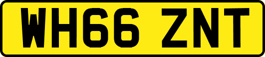 WH66ZNT