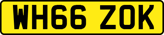 WH66ZOK