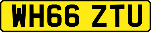 WH66ZTU
