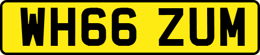 WH66ZUM
