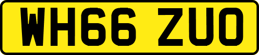 WH66ZUO