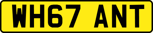 WH67ANT