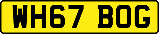 WH67BOG