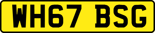 WH67BSG
