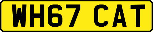 WH67CAT