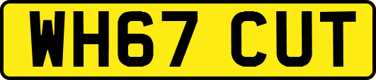 WH67CUT