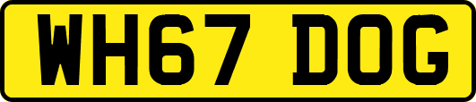WH67DOG