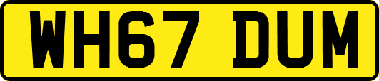 WH67DUM